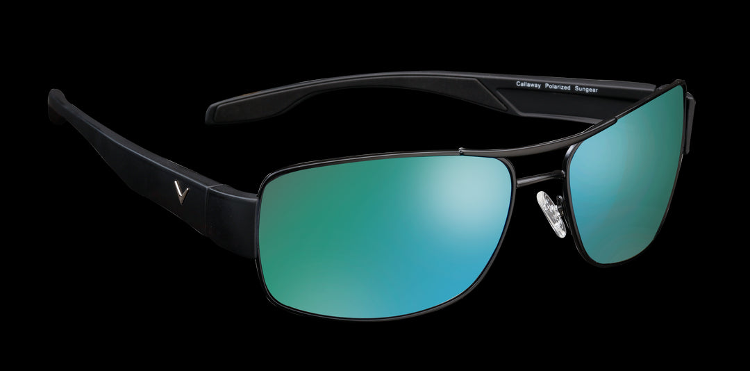 Ray-Ban Eagle Eye Polished Black On Transparent Sunglasses